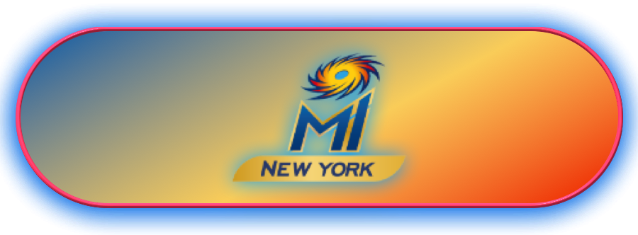 Mi New York Banner Logo